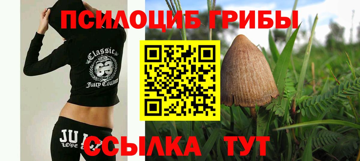 Псилоцибиновые грибы MAGIC MUSHROOMS  Галлюциногенные грибы Psilocybine cubensis  Унеча  Вход с VPN 